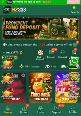 HZ333 Game